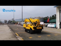 cần cẩu bánh xích nhện